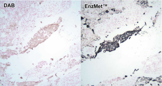 Nanoprobes EnzMe