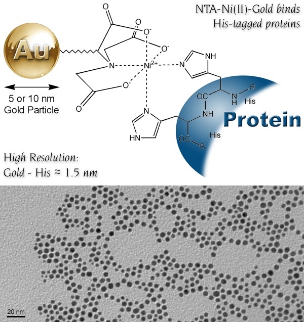 Nanoprobes-Ni-NTA纳米金