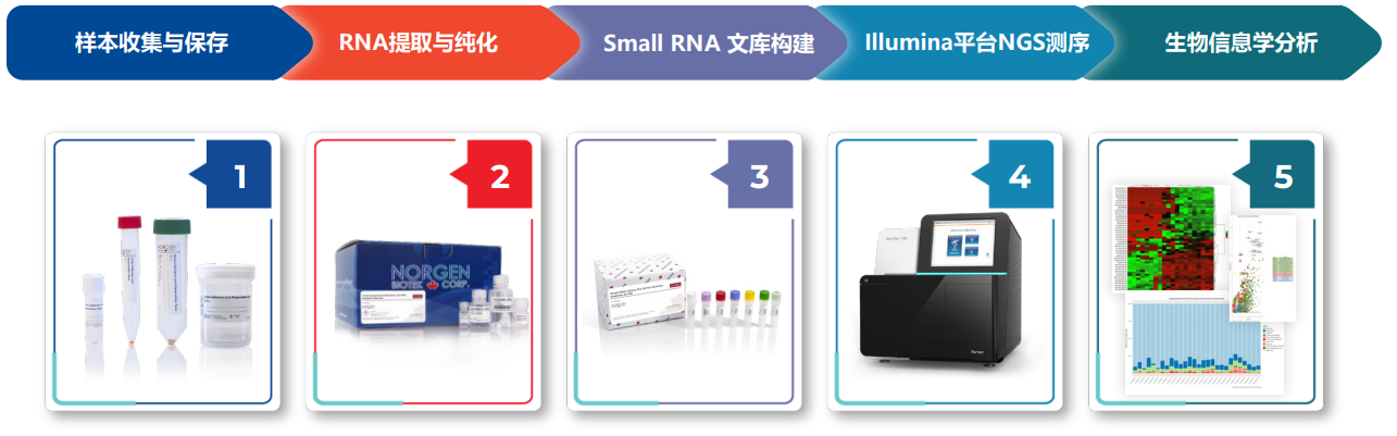 尿液 Small RNA- Seq 工作流程